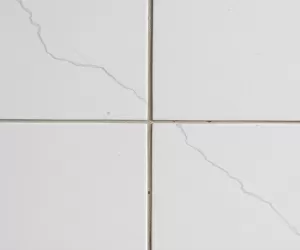 Jaka fuga do płytek 120x20